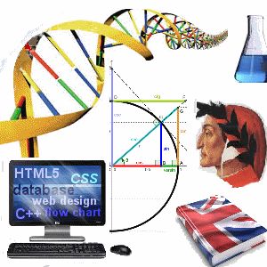 Liceo delle Scienze Applicate